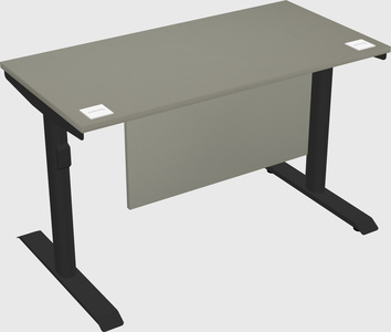 Dual motor electric desk