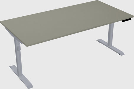 Dual motor electric desk