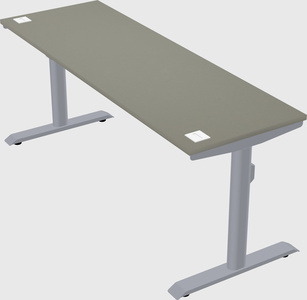 Dual motor electric desk