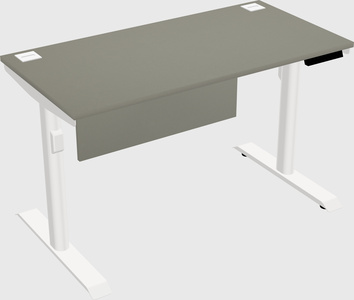 Dual motor electric desk