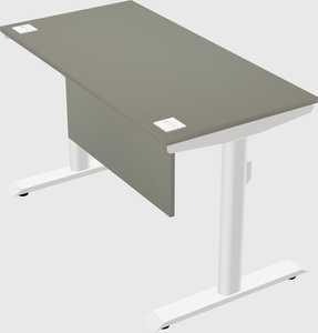 Dual motor electric desk