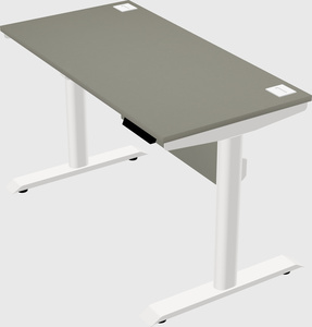 Dual motor electric desk