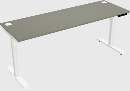 Dual motor electric desk