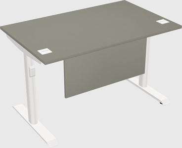 Dual motor electric desk