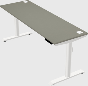 Dual motor electric desk