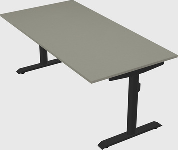 Dual motor electric desk