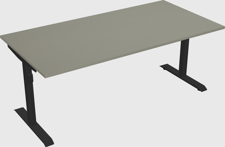 Dual motor electric desk