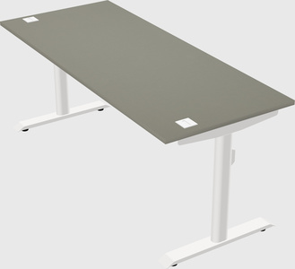 Dual motor electric desk