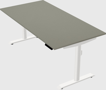 Dual motor electric desk