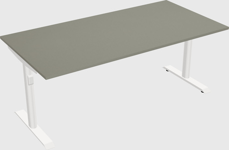Dual motor electric desk