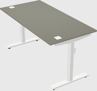 Dual motor electric desk