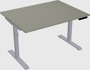 Dual motor electric desk