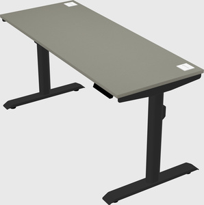 Dual motor electric desk