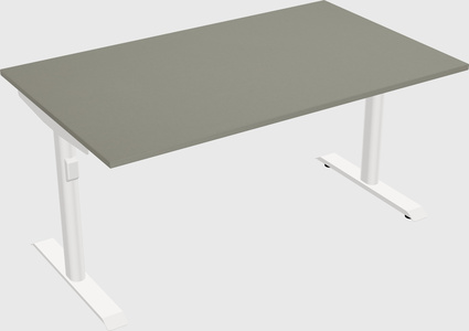Dual motor electric desk