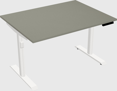 Dual motor electric desk