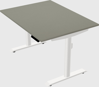 Dual motor electric desk