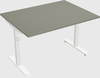 Dual motor electric desk