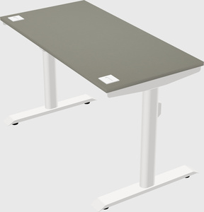 Dual motor electric desk