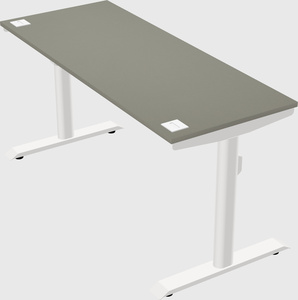 Dual motor electric desk