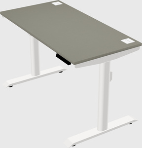 Dual motor electric desk