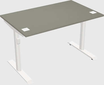 Dual motor electric desk
