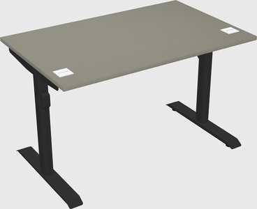 Dual motor electric desk