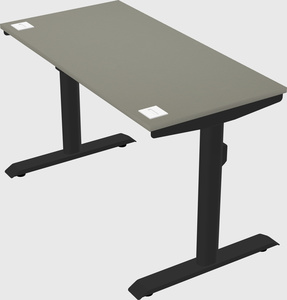 Dual motor electric desk