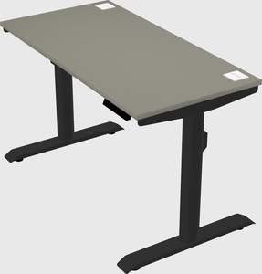 Dual motor electric desk