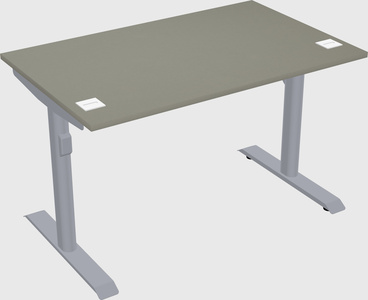Dual motor electric desk