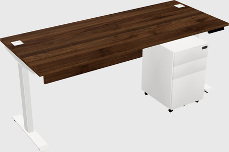 Single Motor Electric Desk