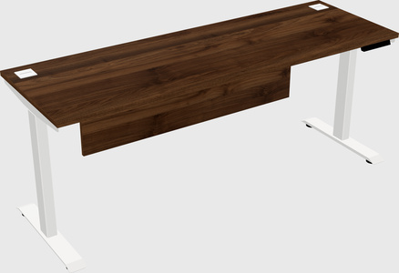 Single Motor Electric Desk
