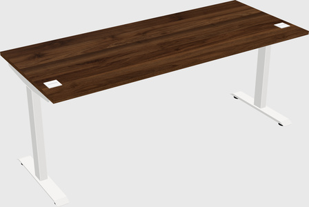 Single motor electric desk