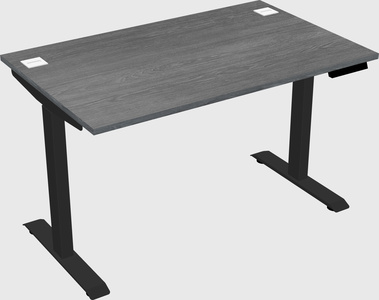 Single motor electric desk