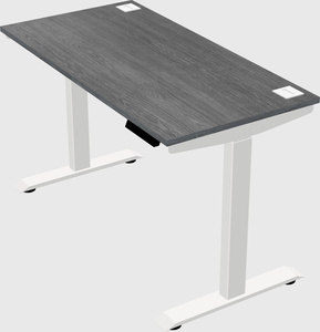 Single motor electric desk