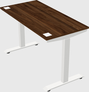 Single motor electric desk