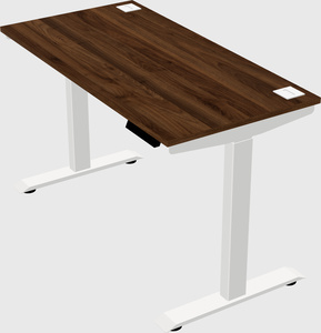 Single motor electric desk