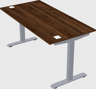 Single motor electric desk