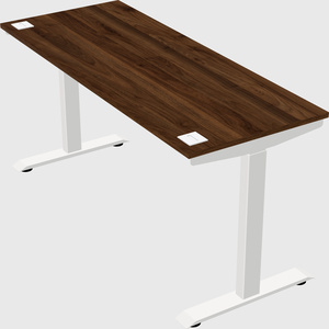 Single motor electric desk
