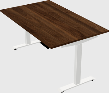 Single motor electric desk