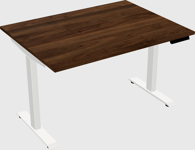 Single motor electric desk