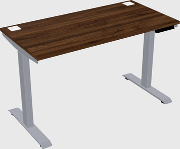 Single motor electric desk
