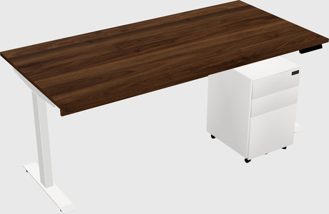 Single Motor Electric Desk