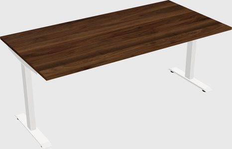 Single motor electric desk