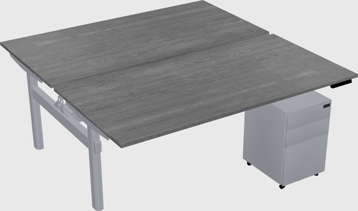Shared electric desk