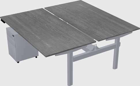 Shared electric desk