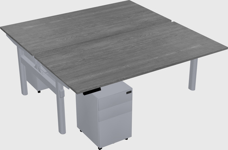 Shared electric desk