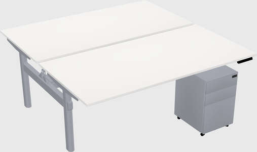 Shared electric desk
