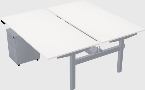 Shared electric desk