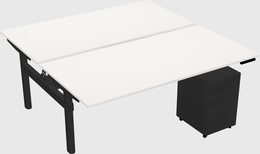 Shared electric desk