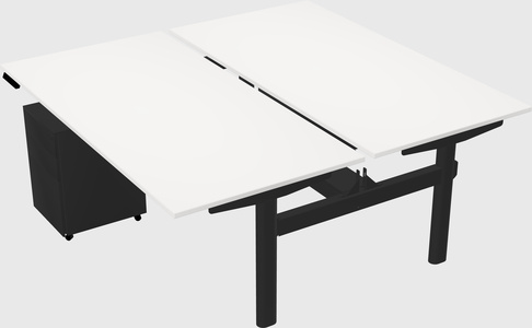 Shared electric desk